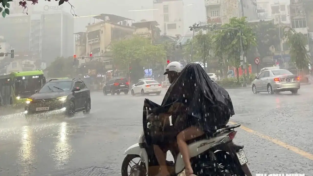 استجابة تسع عشرة منطقة للأمطار الغزيرة والرياح القوية في البحر.